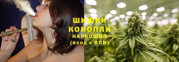 ПСИЛОЦИБИНОВЫЕ ГРИБЫ Рославль