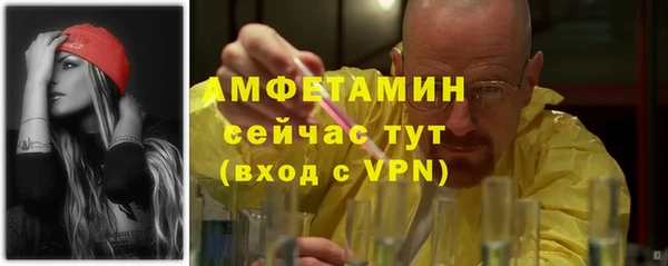 ПСИЛОЦИБИНОВЫЕ ГРИБЫ Рославль
