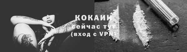 ПСИЛОЦИБИНОВЫЕ ГРИБЫ Рославль