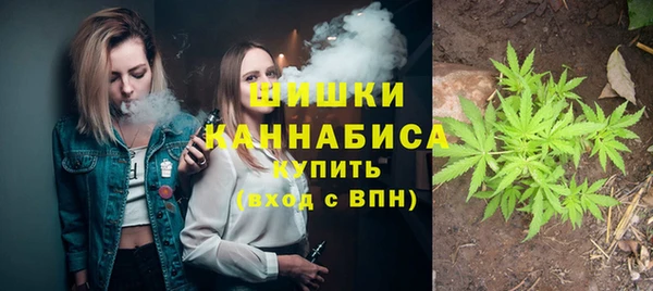 ПСИЛОЦИБИНОВЫЕ ГРИБЫ Рославль