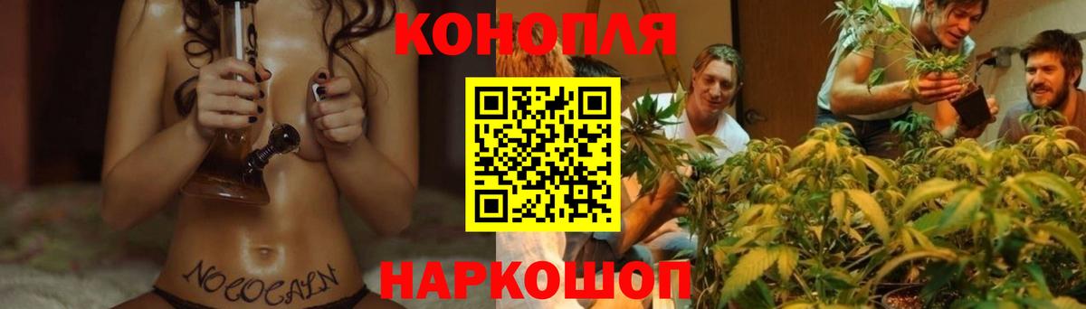МАРИХУАНА конопля Рославль