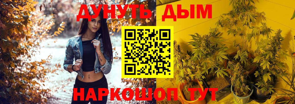 Шишки марихуана гибрид  Бошки марихуана конопля  МАРИХУАНА OG Kush  Вход с VPN  Рославль  Бошки марихуана White Widow 